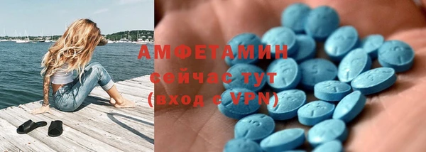 мдпв Михайлов