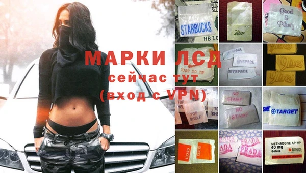 мдпв Михайлов