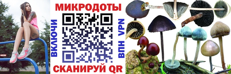 Галлюциногенные грибы Magic Shrooms  Купить где  Черепаново 